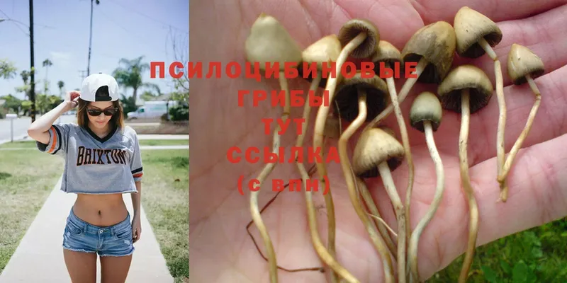 Псилоцибиновые грибы Magic Shrooms  OMG ТОР  Островной  хочу  